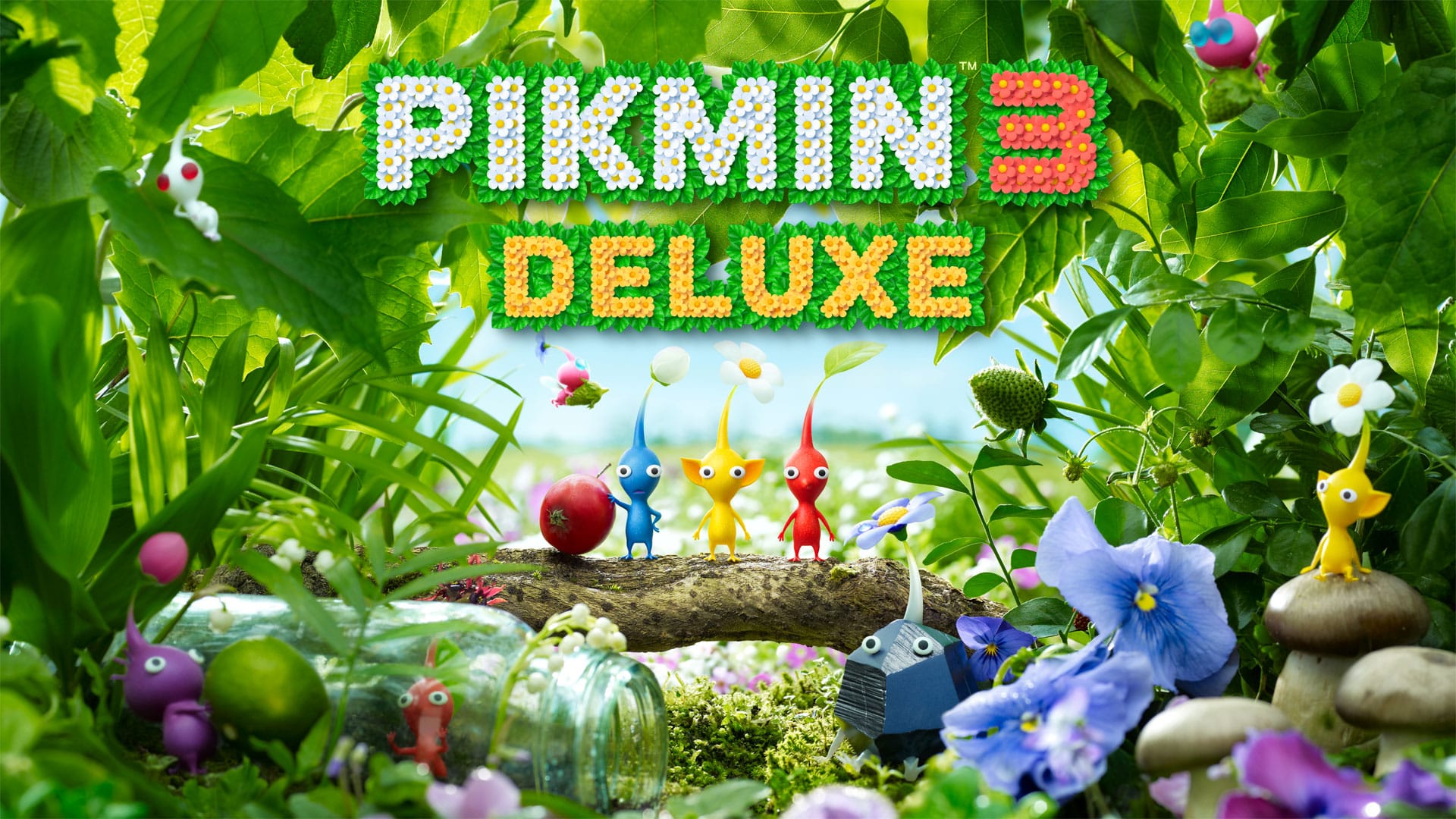 hyrule warriors