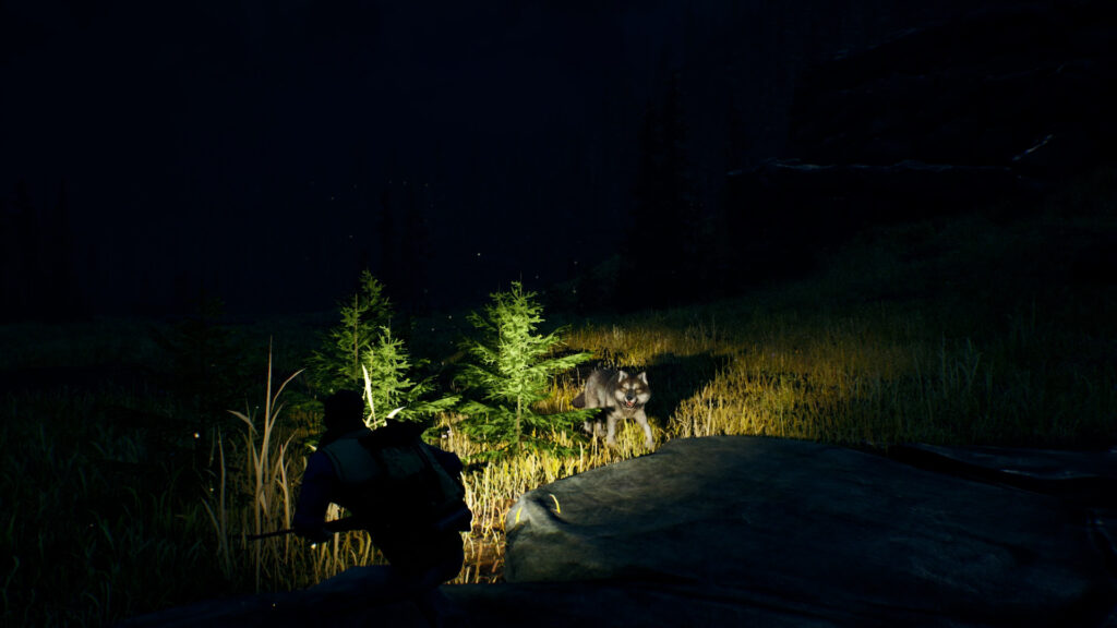 open country Open Country