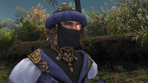 Final Fantasy XI Online