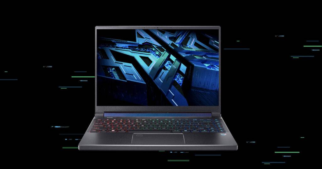 acer acer