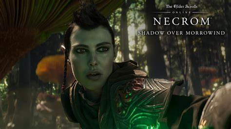 The Elder Scrolls Online
