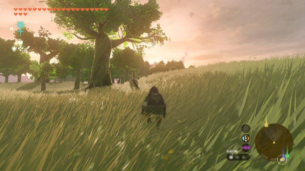 tears of the kingdom The Legend of Zelda: Tears of the Kingdom