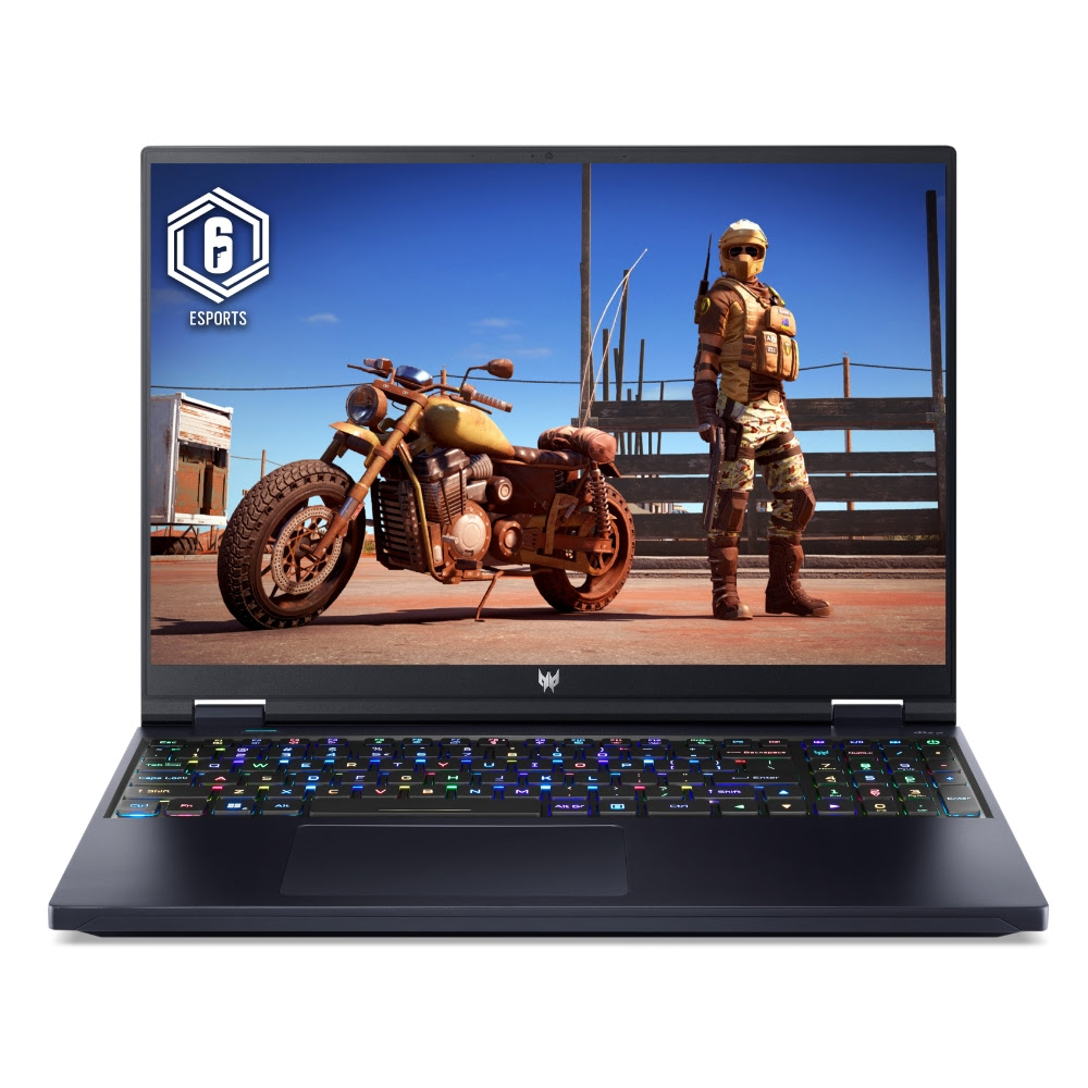 acer acer
