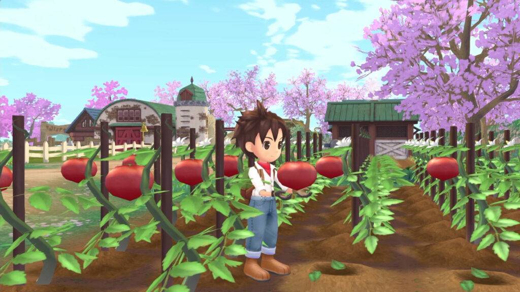 A Wonderful Life STORY OF SEASONS: A Wonderful Life