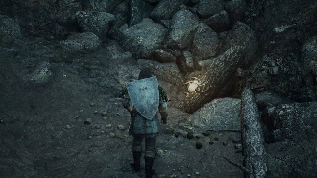 dragon's dogma 2 Dragons Dogma 2 Golden Trove Beetle dragon's dogma 2