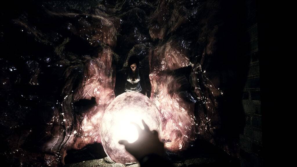Shines Over Shines Over: The Damned