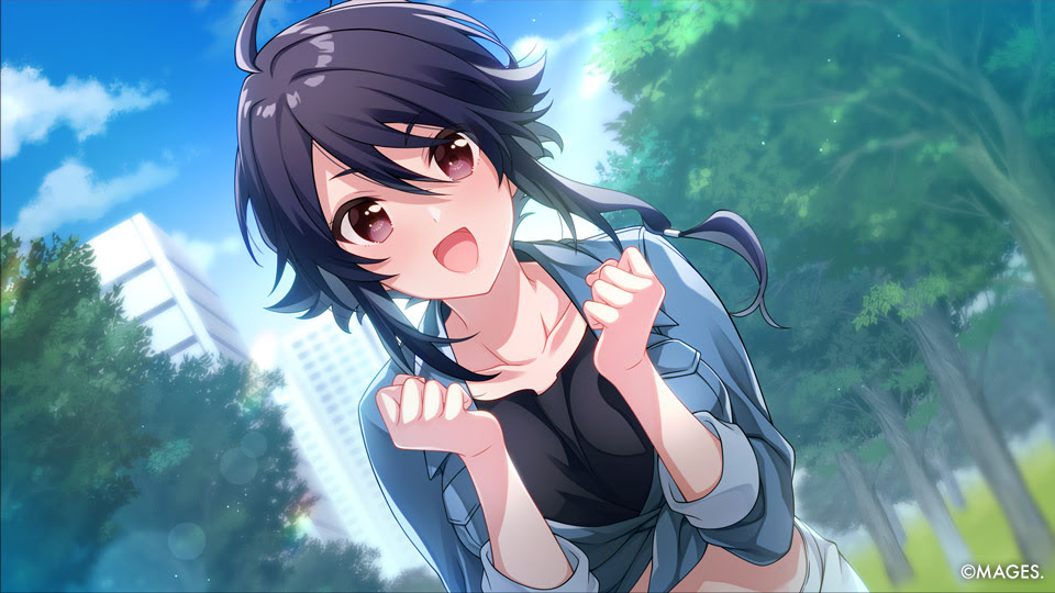 SINce Memories: Off the Starry Sky!