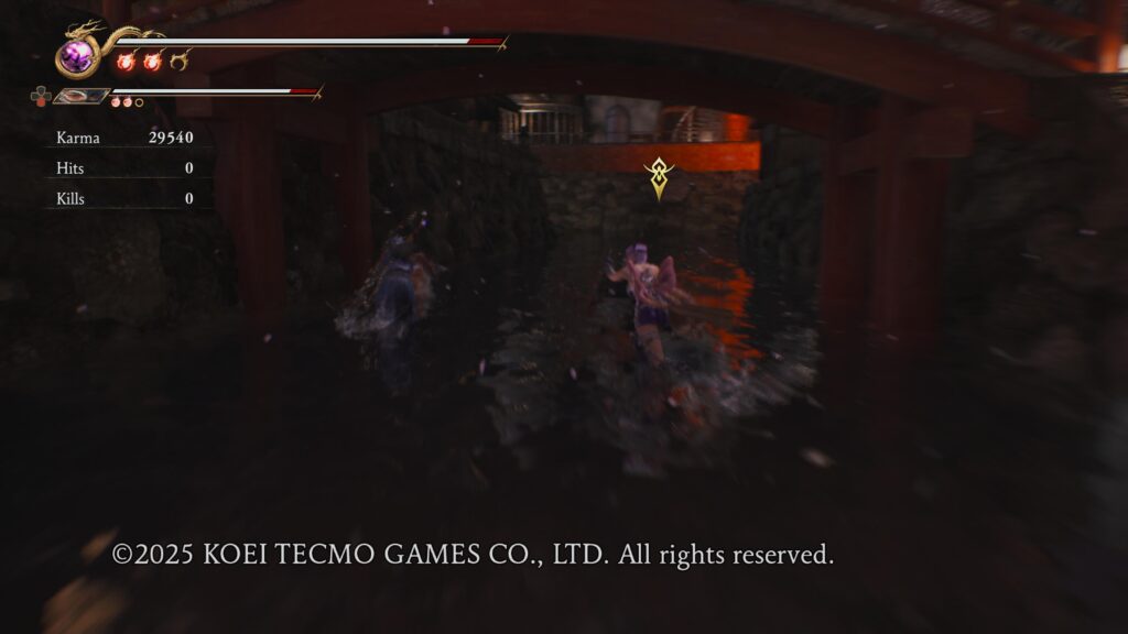 NINJA NINJA GAIDEN 2 Black