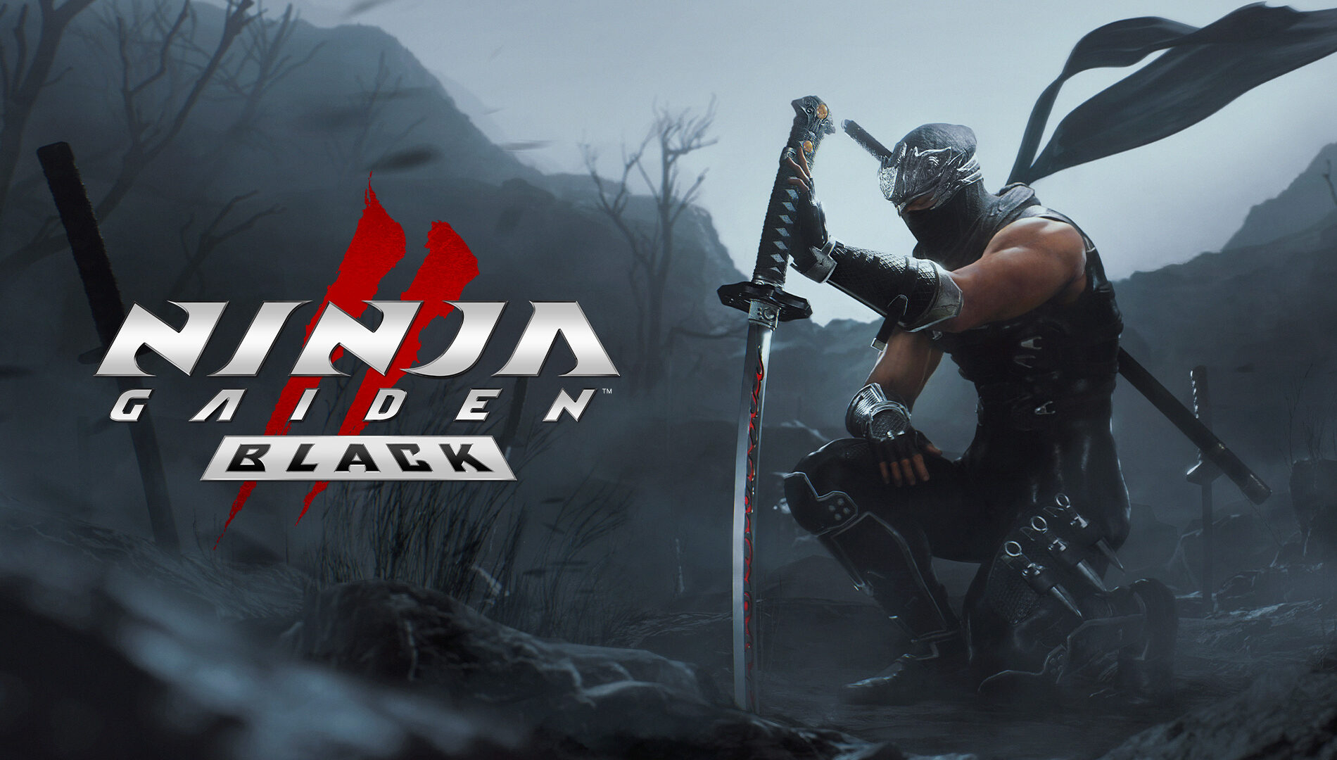 NINJA GAIDEN 2 Black