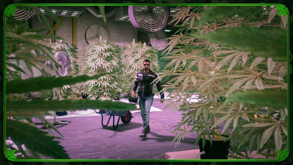 GTA Online GTA Online
